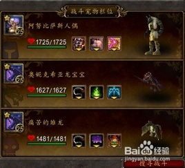 灵猫魔宠怎么选？揭秘五大隐藏流派与实战搭配技巧