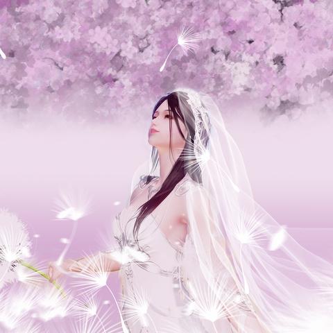 天涯明月刀下载类型大揭秘，别再下错客户端了