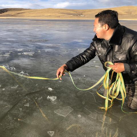 与狼共舞的代价，揭秘生存游戏中野狼驯服与极限训练技巧