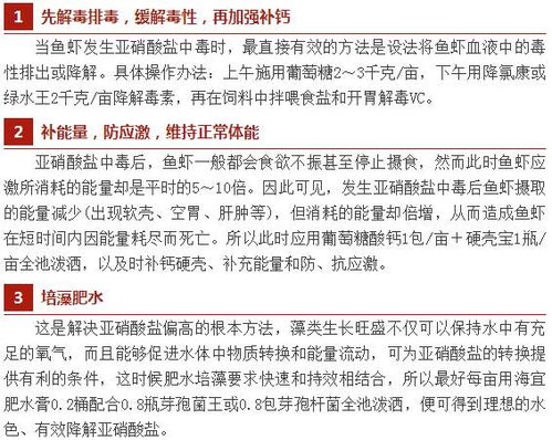 亚联千年新手避坑指南，2026年高爆版本与核心修炼路数