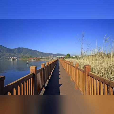 2026年天堂中文在线生存指南，如何避开木马并快速起号？