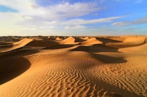 家园卡拉克沙漠类型怎么选？大盆地与沙丘地形生存指南