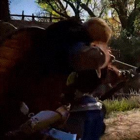 刺客信条,影新预告11分钟,风景模拟器有啥亮点?