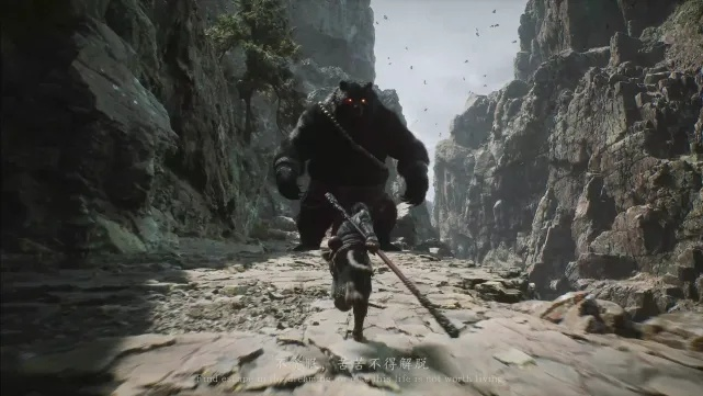 黑神话发售半年,评分揭晓?网友热议,你咋看?