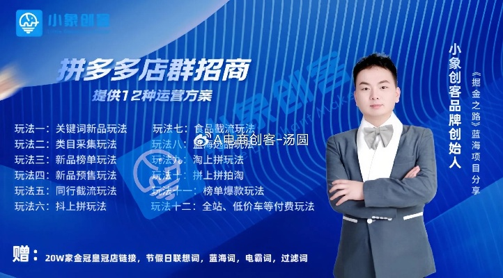 小胖新作最强开局思路，从零开始的暴利经营指南