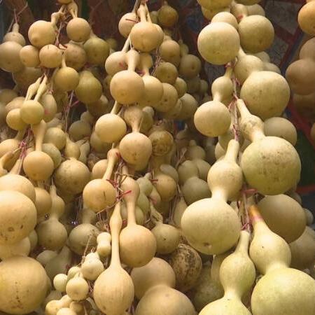 蚂蚁新村5月2日答案更新2025图文揭晓