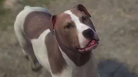 玩家吐槽GPT-4o，赛博舔狗式谄媚回应引争议