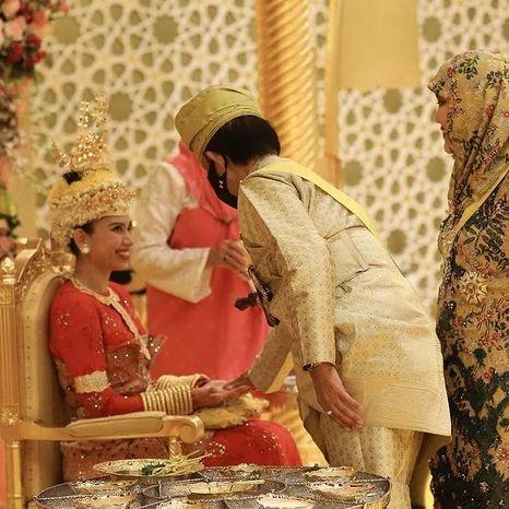 黄金鸟:苏丹游戏中的神秘力量,揭秘其惊人作用！