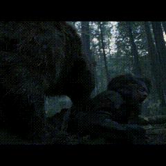 《荒野猎人》限时活动奖励速抢指南！