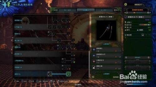 《荒野大剑攻略：怪物猎人调查队属性路线全解析》