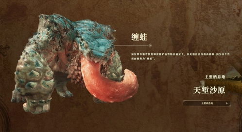 《怪物猎人荒野》缠蛙攻略：高效打法与珍贵掉落解析