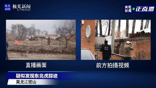 《破碎怪谈雾雨村》全流程解说：深度解析神秘村落的秘密