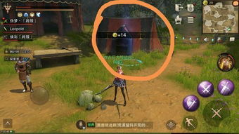 《燕云十六声》清河秘境探秘：独家攻略解锁奇遇