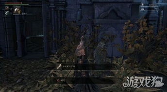 《燕云十六声》九曲惊神枪：独家秘法获取攻略！