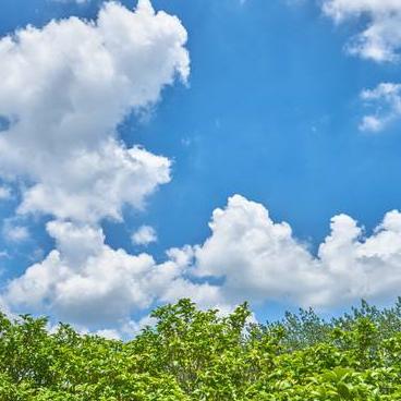 《使命召唤21黑行动6》全流程攻略：轻松通关秘籍大公开