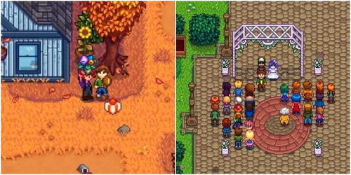 星露谷物语婚后甜蜜剧情新解锁！新版本浪漫细节速览