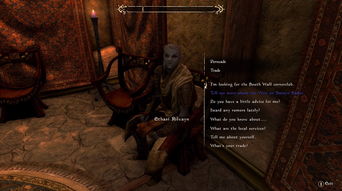 《上古卷轴5》MOD“天风”实机演示震撼来袭！