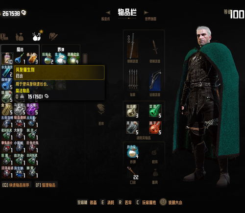 巫师2操作指南，掌握核心按键与战斗流派的独家秘籍