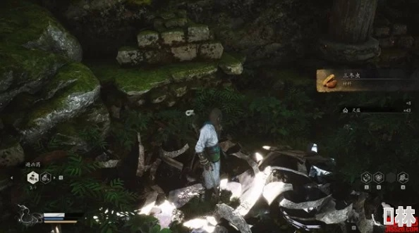 《黑神话悟空》三冬虫隐藏位置揭秘！必看攻略！