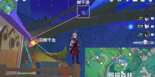 《原神》4.8版本赐福森林飞羽位置揭秘！速来寻宝