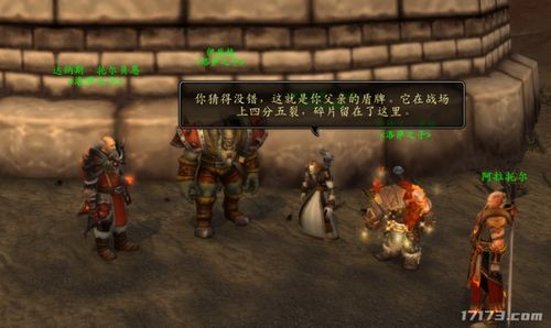 洛萨之子圣骑士怎么玩？提尔圣剑全专精实战攻略