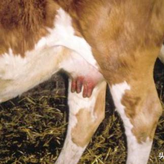 游戏技能提升难?这些实用技巧助你轻松解决！