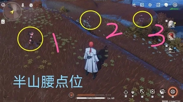 《鸣潮》雀翎果速刷攻略：高效采集路线曝光