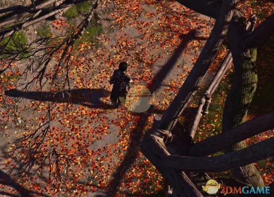 刺客信条影MOD,精简视觉虽沉浸升级,但也有不便?