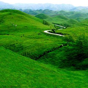 《牧场动物大揭秘：桌面牧场小动物详数据览》