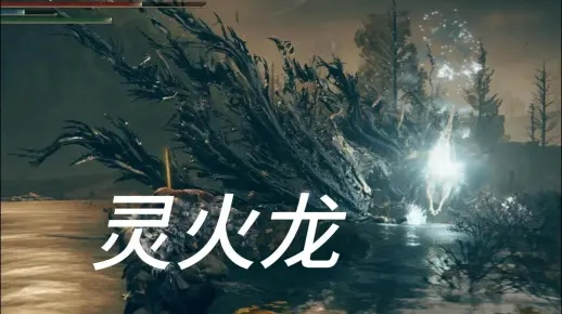 艾尔登法环黄金树之影DLC灵火龙卡关？高效逃课攻略速学