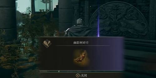 《艾尔登法环》DLC黄金树之影：必收物品攻略盘点