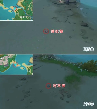 《原神》螃蟹分布攻略：快速找到隐藏螃蟹位置
