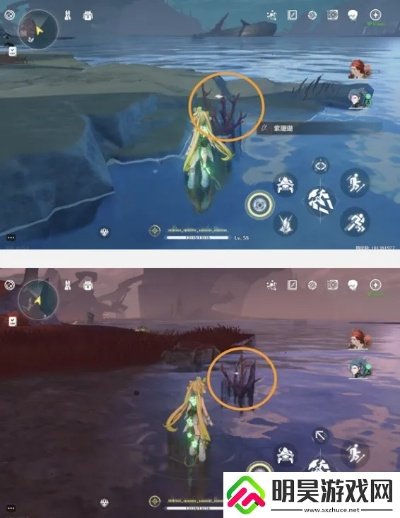 《鸣潮》紫珊瑚高效采集攻略：隐藏地点大揭秘