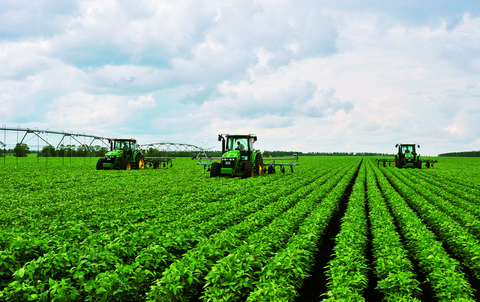 金垦小镇作物种植技巧揭秘