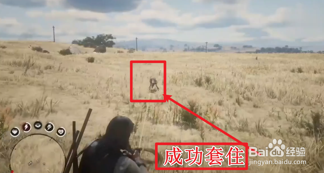 《荒野大镖客2》动物毛皮快速获取攻略，轻松解锁完美皮毛！