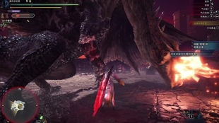 《冰原黑龙猎杀攻略：掌握黑龙招式全解析》