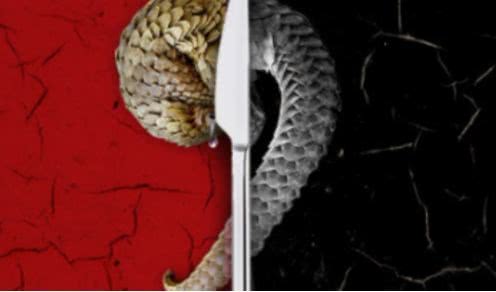 致命公司全野生动物习性+应对，生存挑战轻松破！