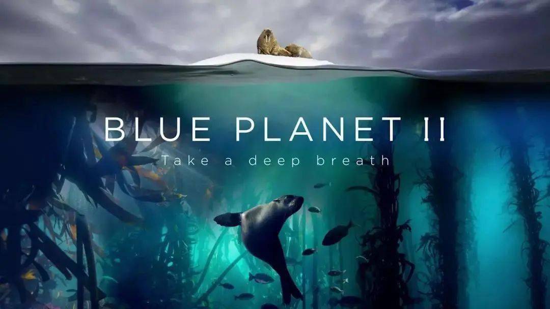 《原神》探秘：蓝色野生生物拍照攻略，第三日揭秘！