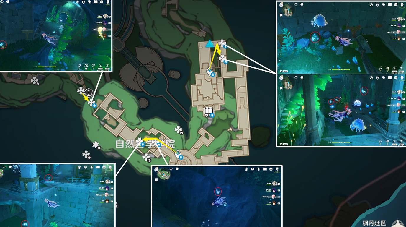 《原神》苍晶螺高效收集攻略：快速获取方法揭秘