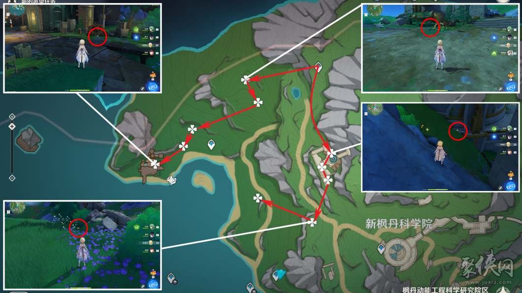 《原神》探秘攻略：独家采集点路线大揭秘！