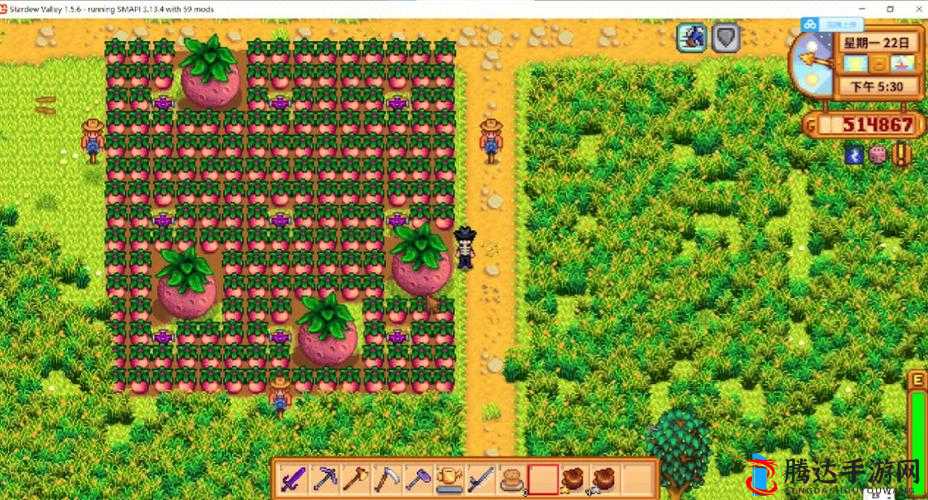 《星露谷物语》高效种植攻略：轻松丰收的秘密武器