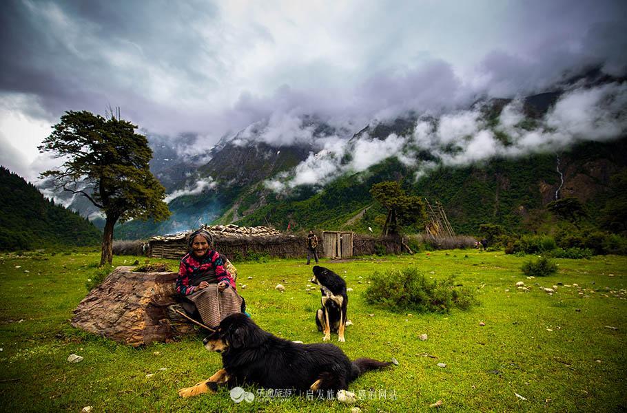 《千年之旅》直伤队搭配攻略：实战解析，战力飙升！