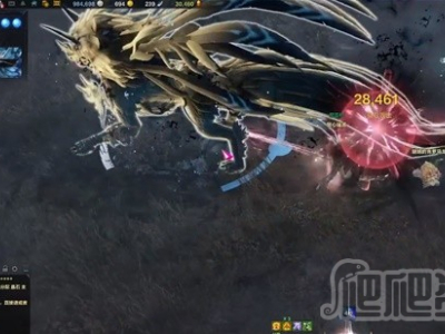 零氪斗魂别慌！命运方舟赤子流单刷光暗狼技巧干货