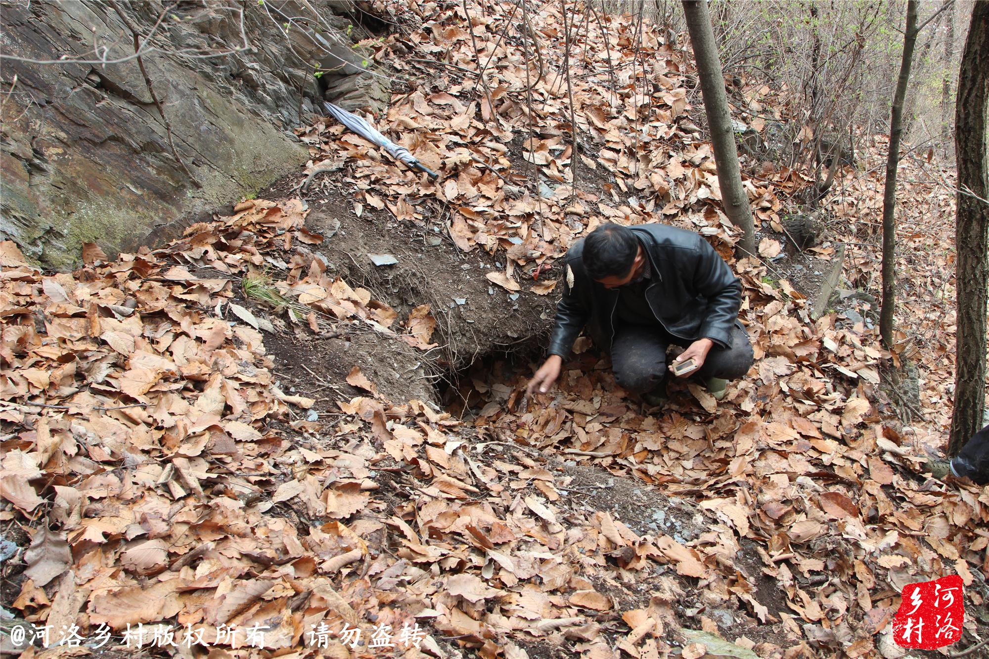 《遗迹2》减伤极限攻略：轻松堆满上限