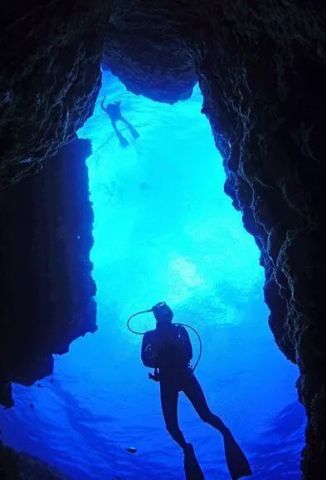 《戴夫潜水探秘：冰河深处白鲸藏身之谜》