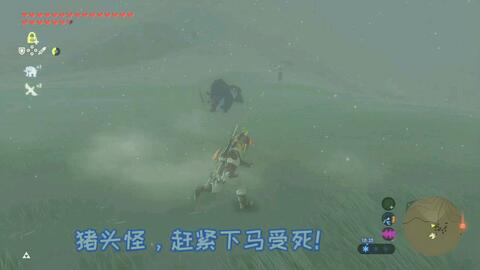 《塞尔达传说》波克布林刷新点攻略：独家揭秘！