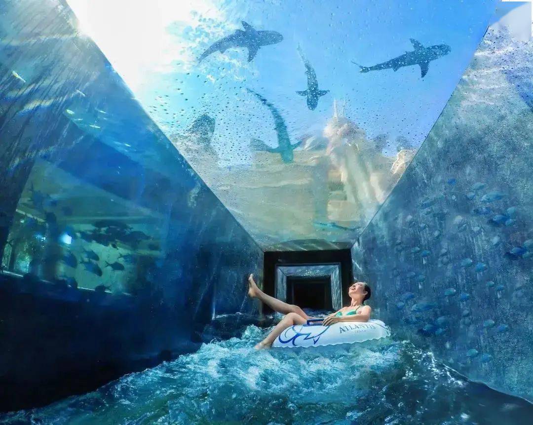 七日世界岩浆钓鱼技巧分享[多图]