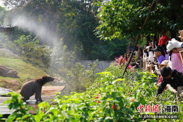 《侠盗猎车5》动物奇遇记：间客世界生存指南