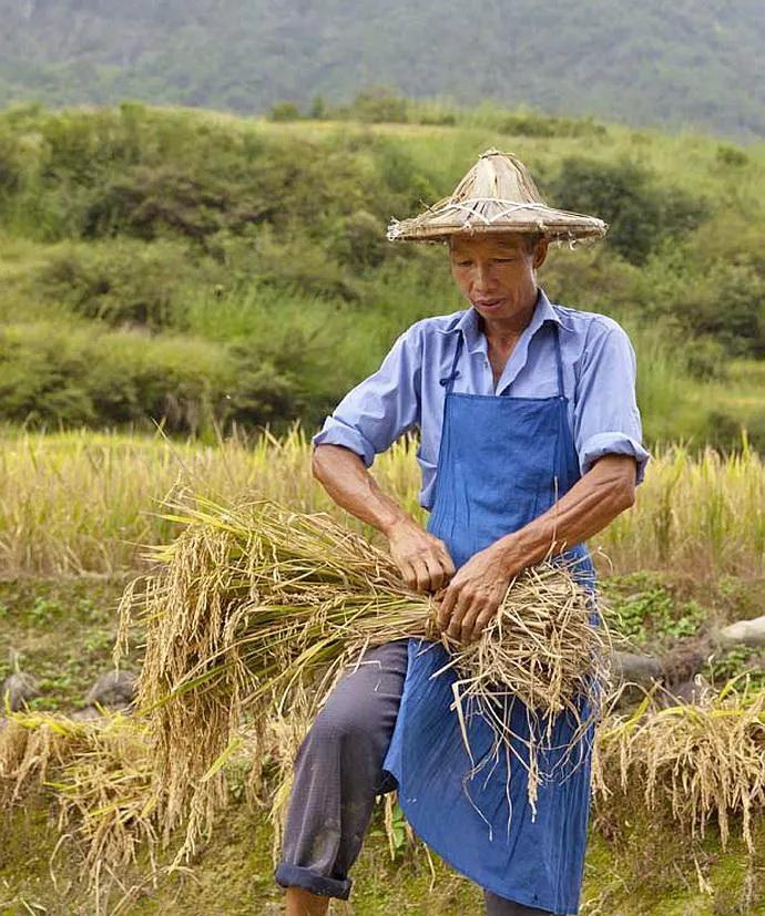 《牧场物语：失落谷》3D视角自由切换，沉浸式农场生活体验