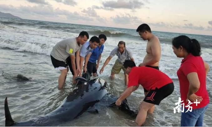 《深海搁浅》双人求生惊悚之旅